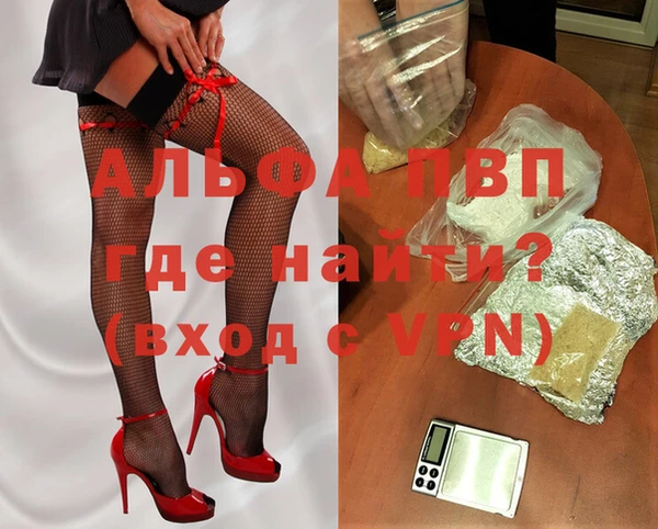 СК Новодвинск