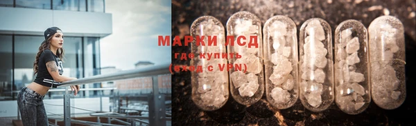 СК Новодвинск