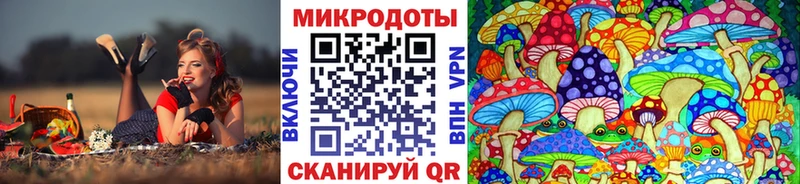 Псилоцибиновые грибы мицелий  купить  сайты  Неман 