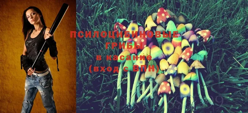 Псилоцибиновые грибы Magic Shrooms  как найти закладки  blacksprut ссылки  Неман 